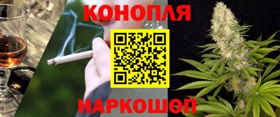 Альфа ПВП Жуковский