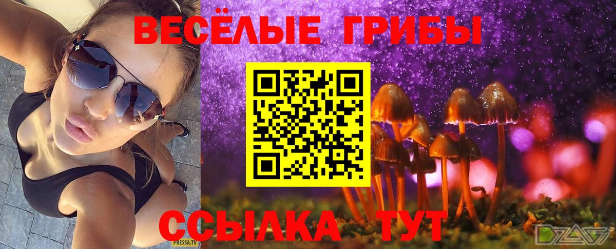 Псилоцибиновые грибы Psilocybine cubensis Междуреченск