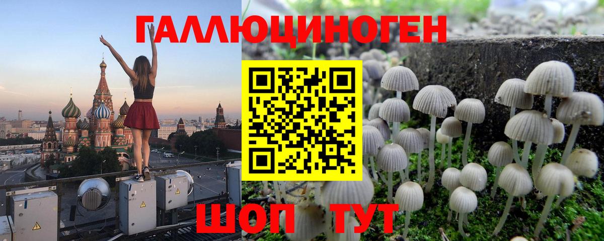 где найти наркотики  Вход с VPN  Междуреченск  Псилоцибиновые грибы Cubensis  Псилоцибиновые грибы Psilocybe 